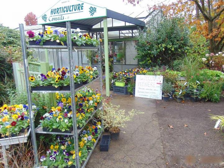 Un éventail de plants maraîchers.