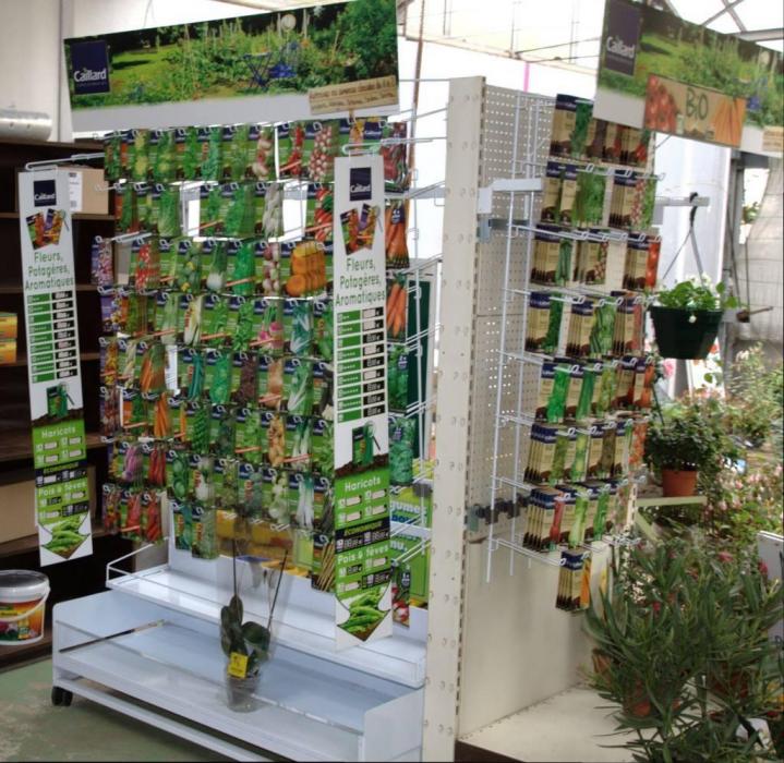 Une variété de graines potagères et semences reproductibles.