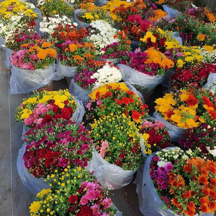 Une catalogue de jardinières et pots disponibles à la vente.